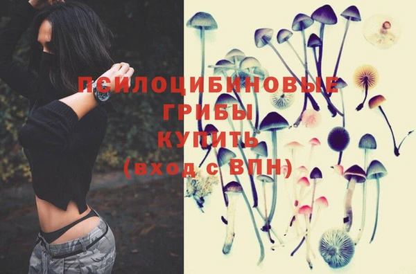 MDMA Premium VHQ Бугульма